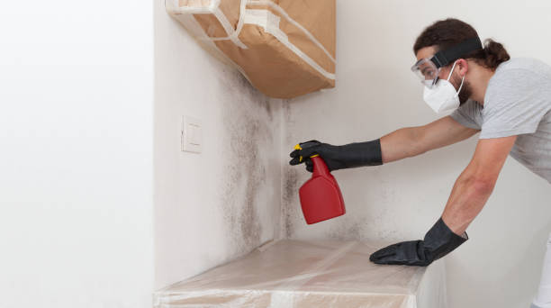 Professional Crawl Space Mold Removal technician working in Norwood, NC