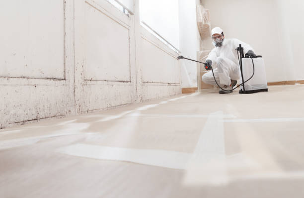 24/7 Emergency Crawl Space Mold Removal experts in Norwood, NC
