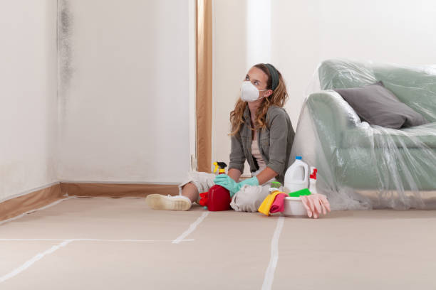 Reliable Crawl Space Mold Removal contractor in Norwood, NC by WQB Mold Removal