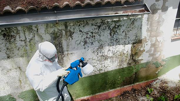 Top rated local Crawl Space Mold Removal specialists in Norwood, NC